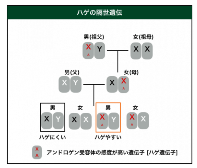 恐怖 旦那のブサイクが子供に遺伝する可能性は高い 世の妻たちの不安な声も紹介 ストレス旦那への処方箋